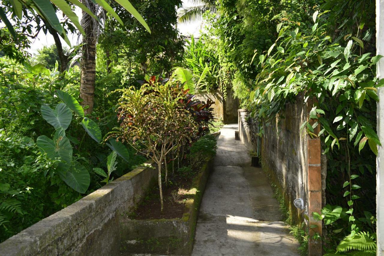 Villa Bindi Ubud Exteriér fotografie